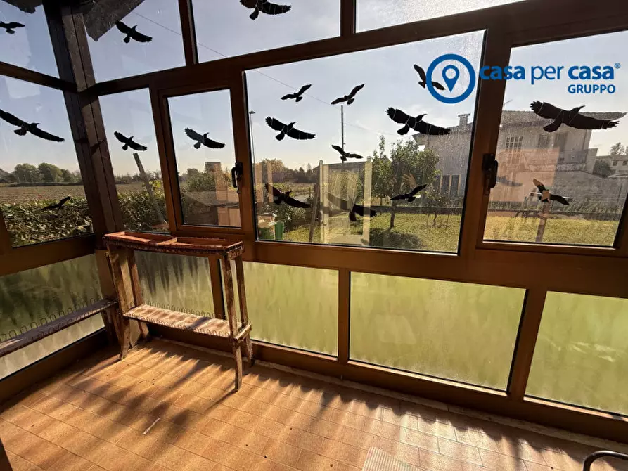 Immagine 13 di Casa indipendente in vendita  in Papozze, Via Giuseppe Di Vittorio a Papozze