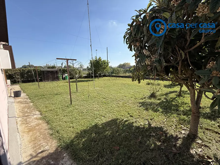 Immagine 21 di Casa indipendente in vendita  in Papozze, Via Giuseppe Di Vittorio a Papozze