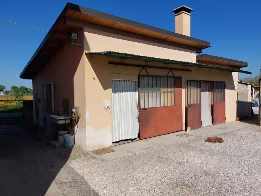 Immagine 3 di Villetta a schiera in vendita  a Badia Polesine