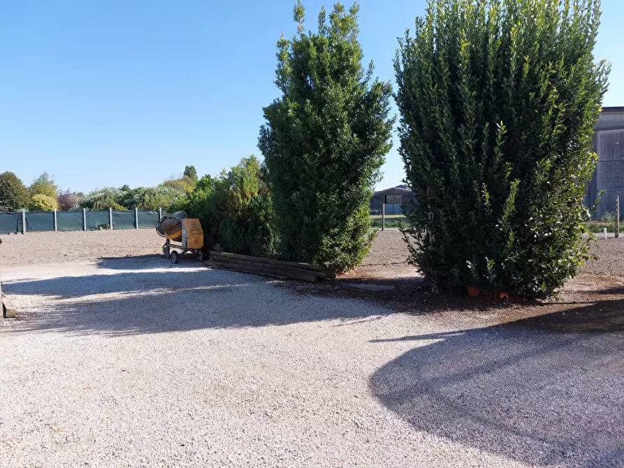 Immagine 4 di Villetta a schiera in vendita  a Badia Polesine