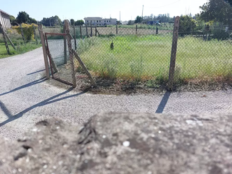 Immagine 7 di Villetta a schiera in vendita  a Badia Polesine