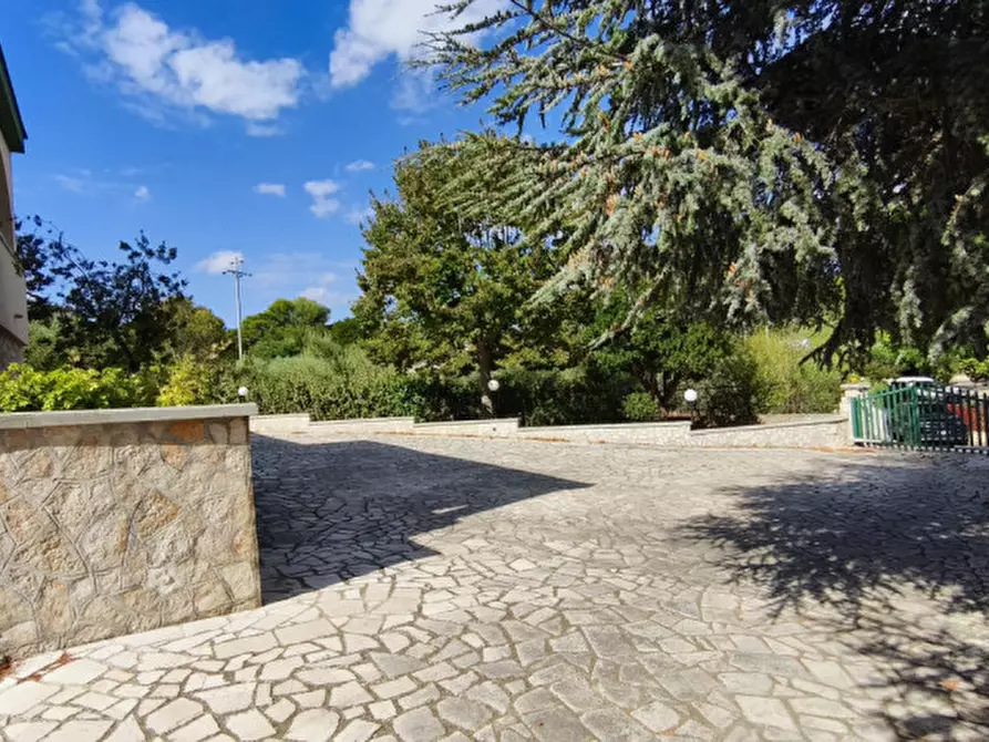 Immagine 27 di Villa in vendita  in Monte Abele a Fasano