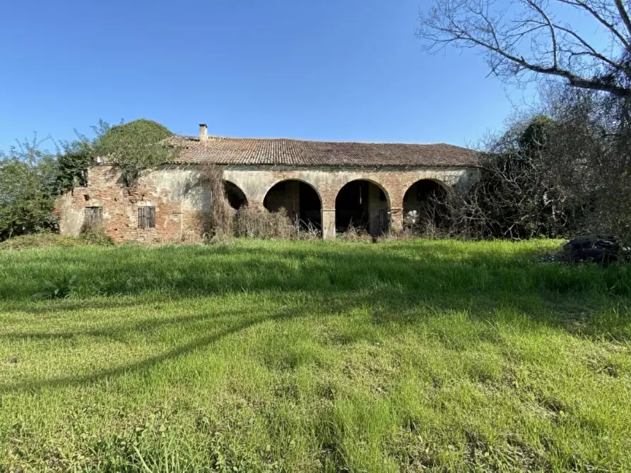 Immagine 1 di Rustico / casale in vendita  in Via Maseralino 56 a Pernumia