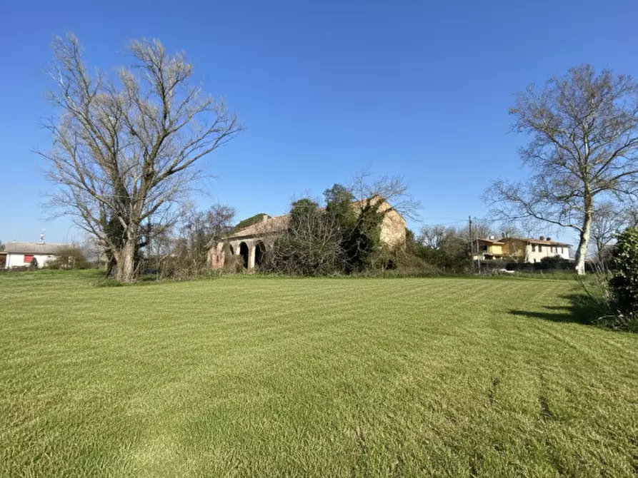 Immagine 3 di Rustico / casale in vendita  in Via Maseralino 56 a Pernumia