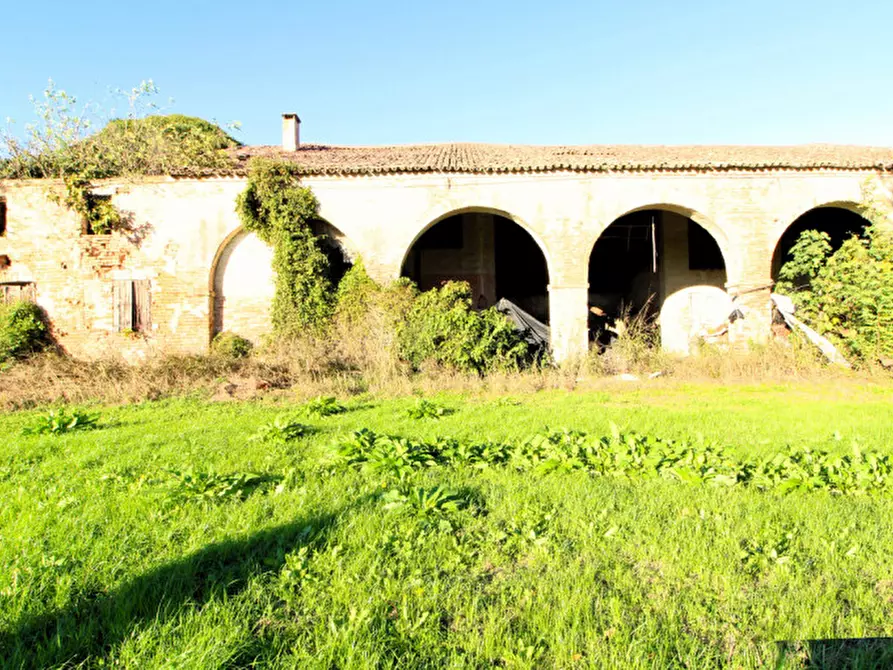 Immagine 4 di Rustico / casale in vendita  in Via Maseralino 56 a Pernumia