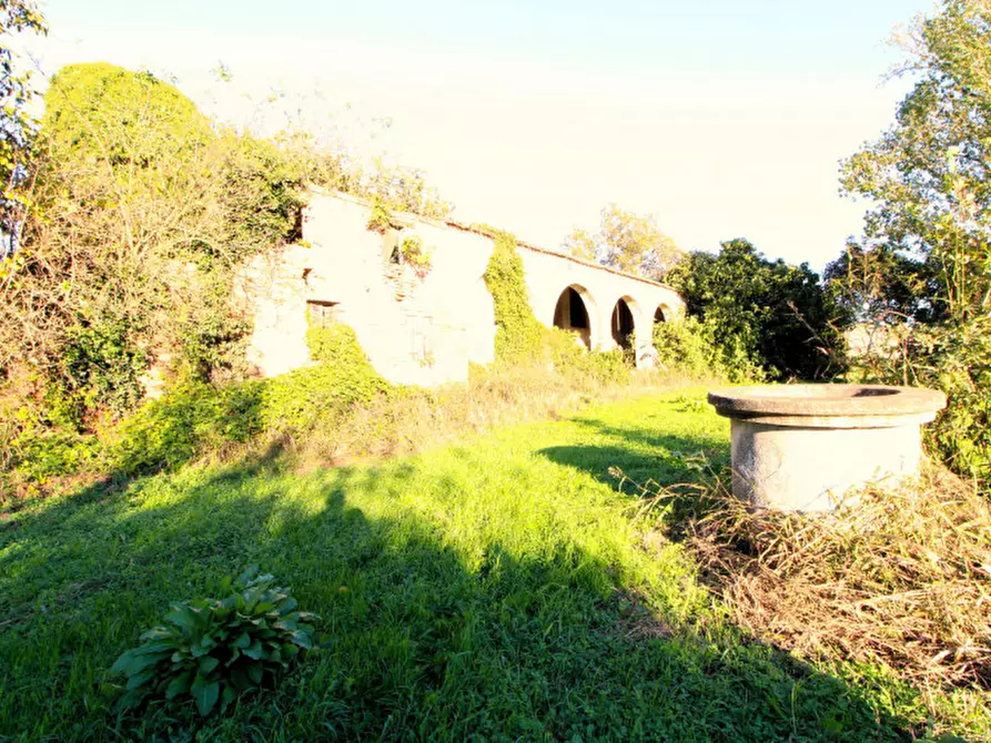 Immagine 5 di Rustico / casale in vendita  in Via Maseralino 56 a Pernumia