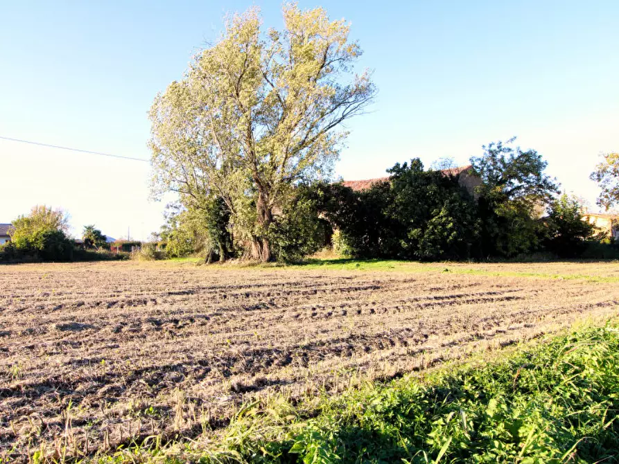 Immagine 5 di Rustico / casale in vendita  in Via Maseralino 56 a Pernumia