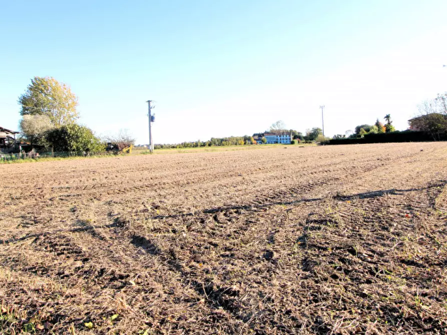 Immagine 7 di Rustico / casale in vendita  in Via Maseralino 56 a Pernumia