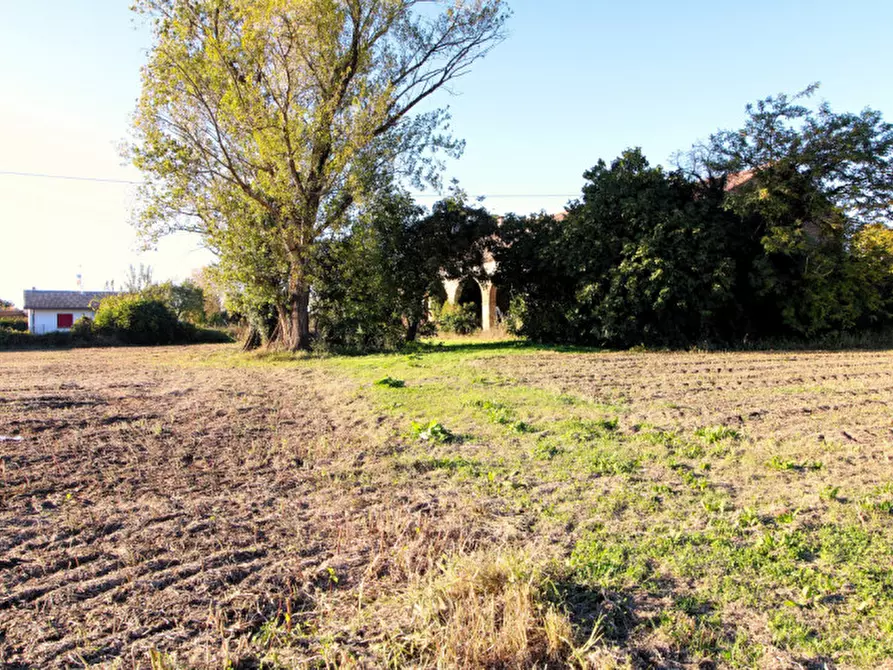 Immagine 8 di Rustico / casale in vendita  in Via Maseralino 56 a Pernumia