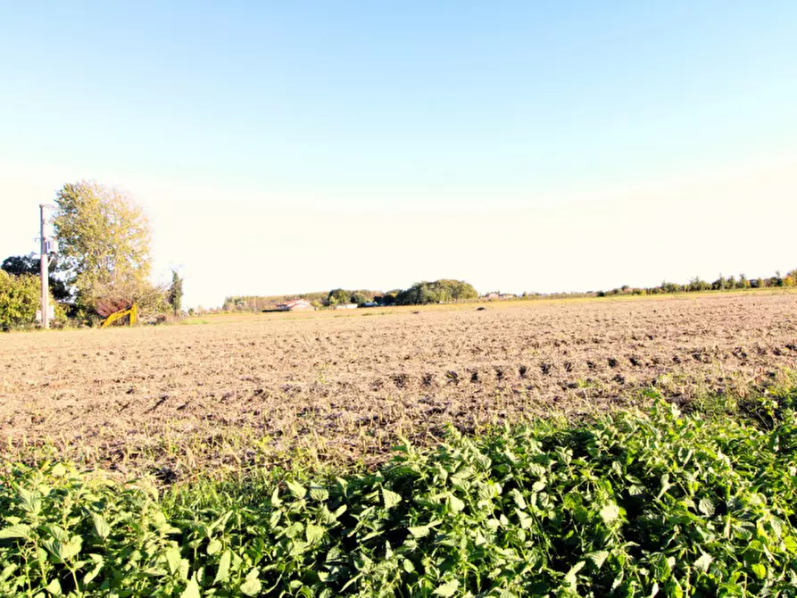 Immagine 9 di Rustico / casale in vendita  in Via Maseralino 56 a Pernumia