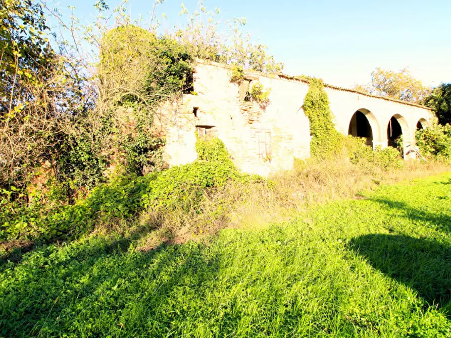 Immagine 11 di Rustico / casale in vendita  in Via Maseralino 56 a Pernumia