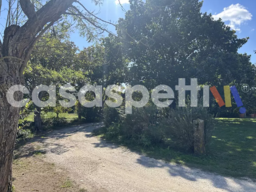 Immagine 2 di Casa indipendente in vendita  in Strada Piscin di Polvere snc a Viterbo