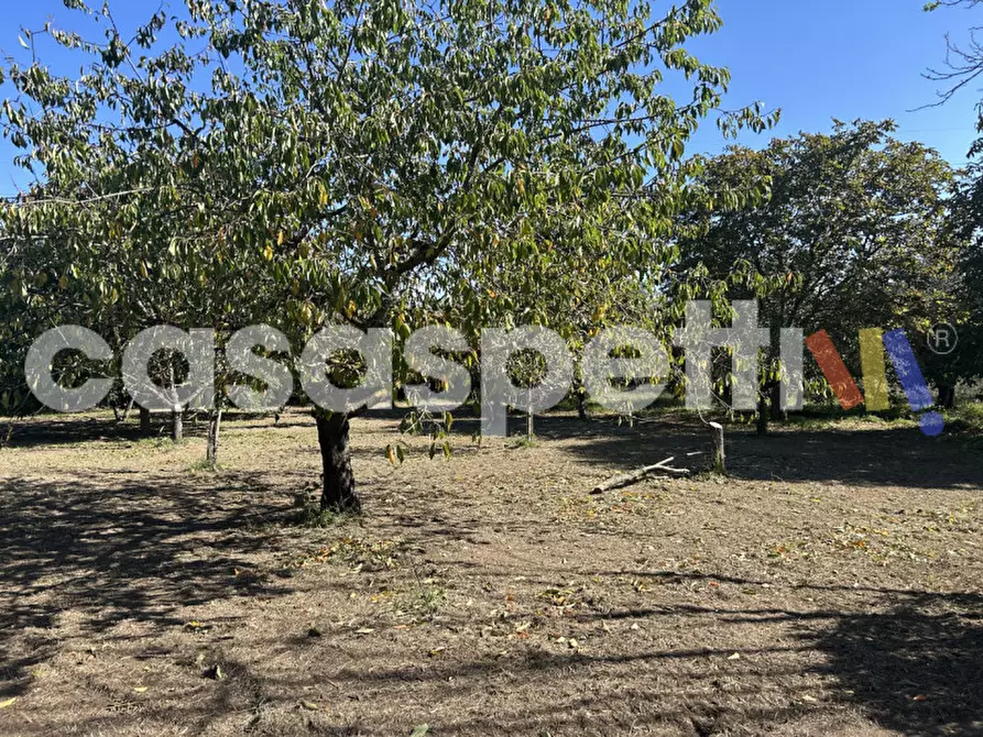 Immagine 3 di Casa indipendente in vendita  in Strada Piscin di Polvere snc a Viterbo