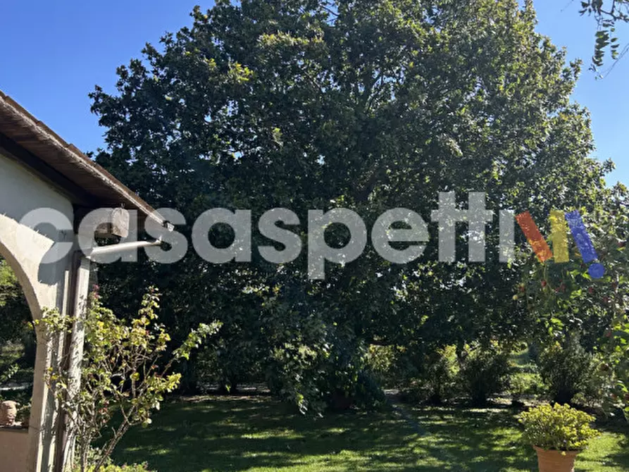 Immagine 5 di Casa indipendente in vendita  in Strada Piscin di Polvere snc a Viterbo