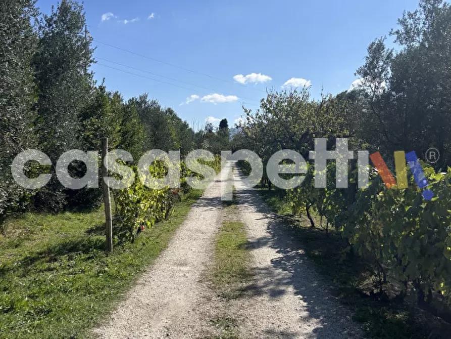 Immagine 10 di Casa indipendente in vendita  in Strada Piscin di Polvere snc a Viterbo