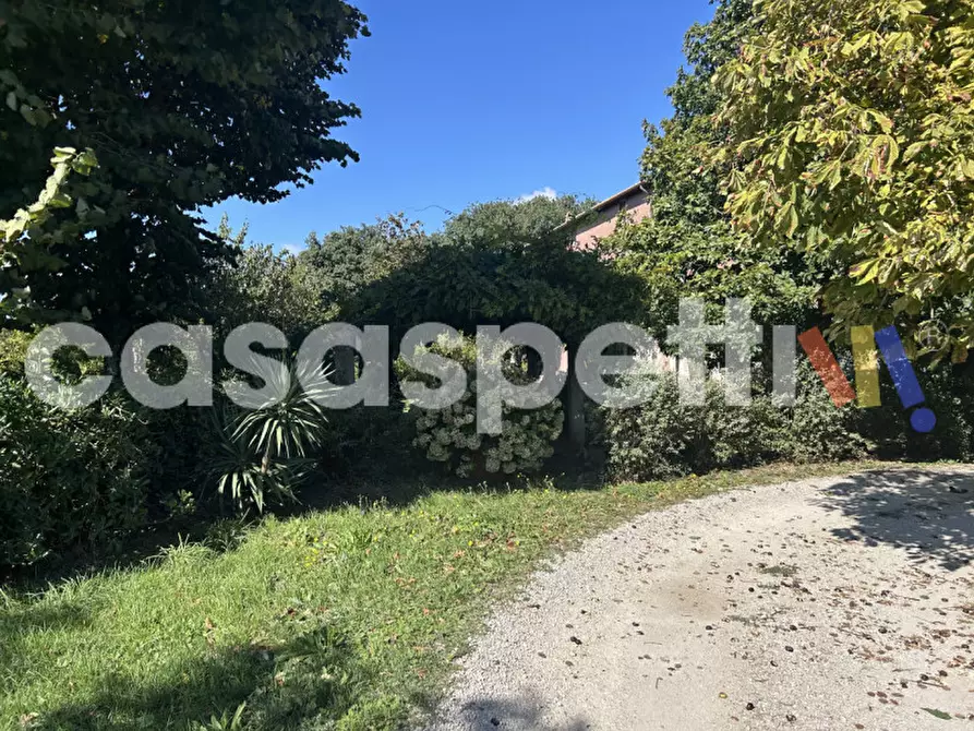 Immagine 11 di Casa indipendente in vendita  in Strada Piscin di Polvere snc a Viterbo