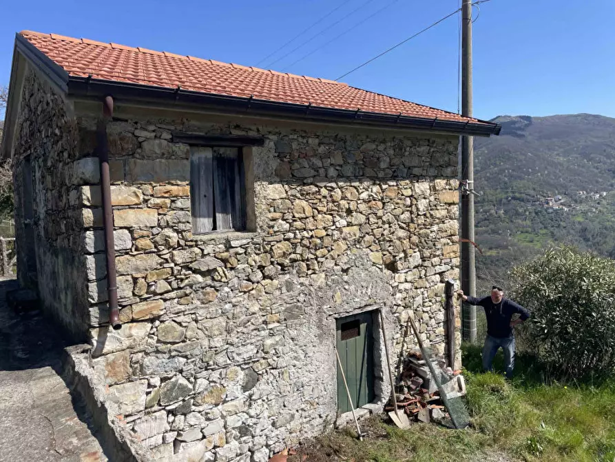 Immagine 4 di Rustico / casale in vendita  in Località Santa Maria a Sesta Godano