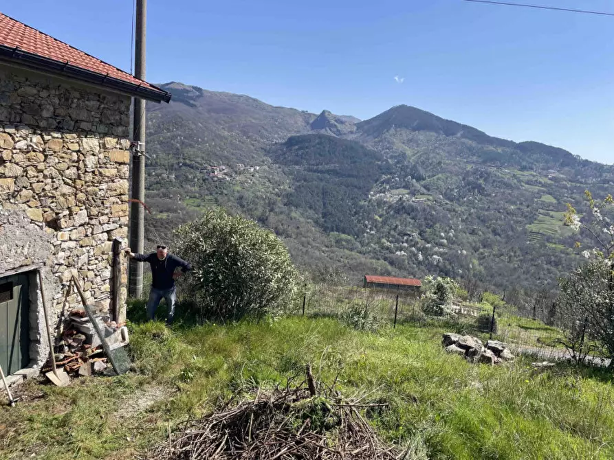 Immagine 6 di Rustico / casale in vendita  in Località Santa Maria a Sesta Godano
