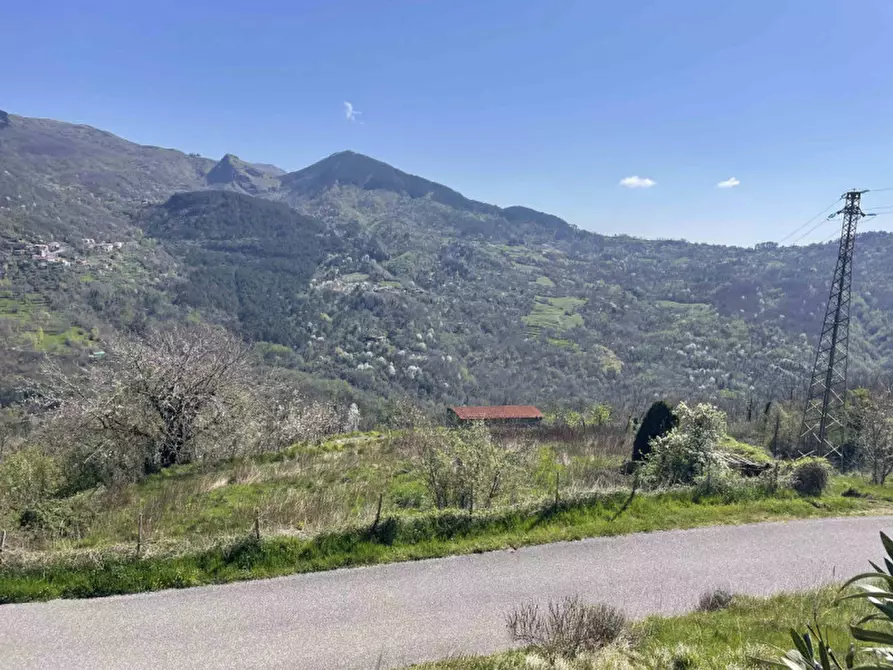 Immagine 7 di Rustico / casale in vendita  in Località Santa Maria a Sesta Godano