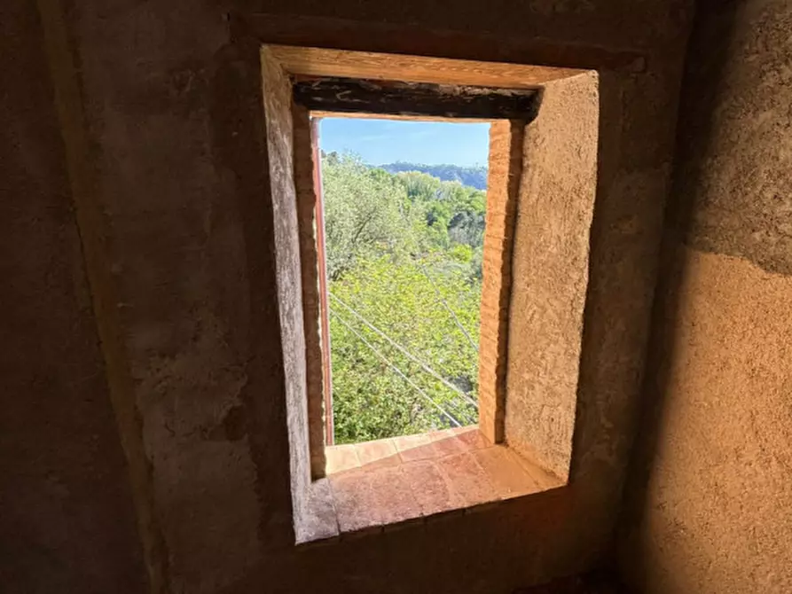 Immagine 4 di Casa indipendente in vendita  in Via Prado di Sopra a Camaiore