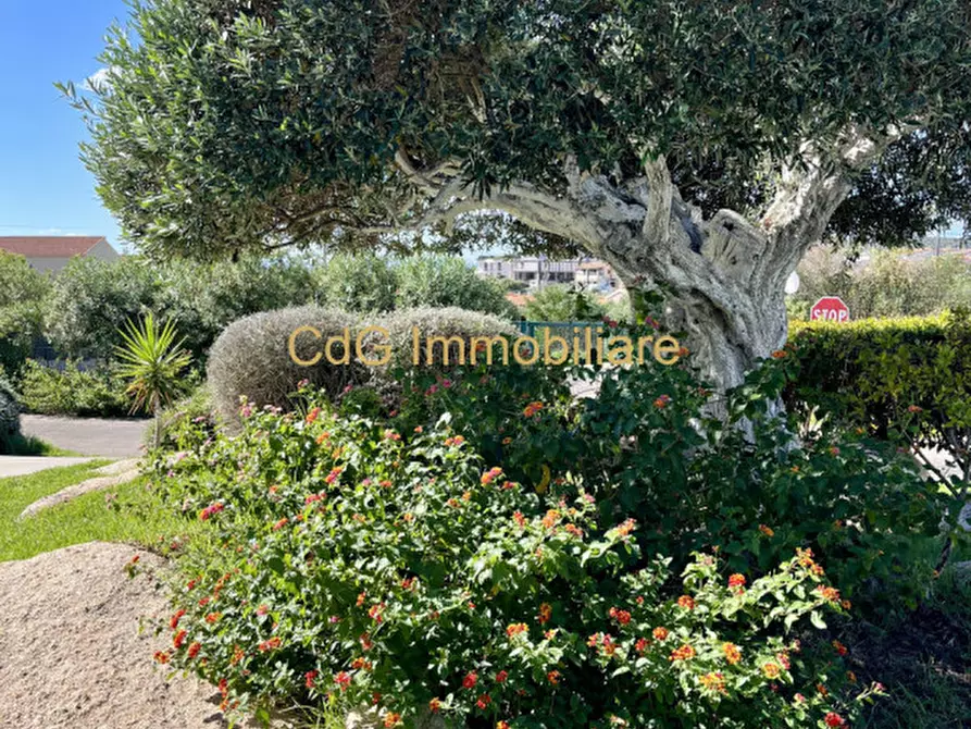 Immagine 51 di Appartamento in vendita  in Via Guglielmo Marconi a Golfo Aranci