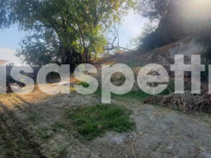 Immagine 17 di Villa in vendita  in via dei greci a Melito Di Porto Salvo