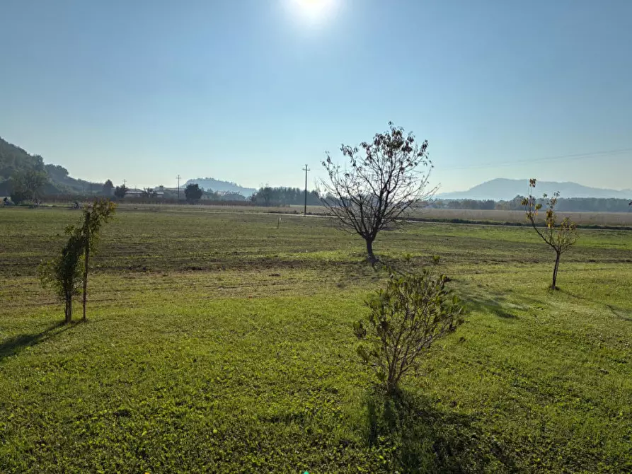 Immagine 1 di Terreno in vendita  in Teolo Via Monteortone a Teolo