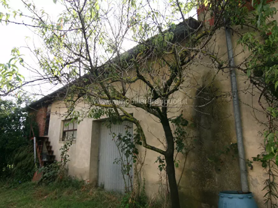 Immagine 12 di Casa indipendente in vendita  a Lucignano