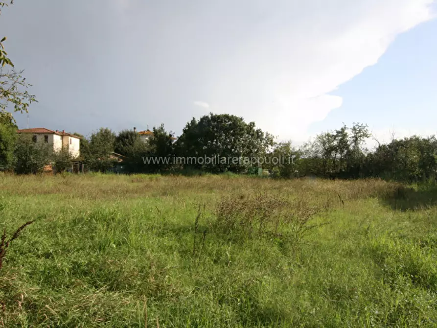 Immagine 13 di Casa indipendente in vendita  a Lucignano