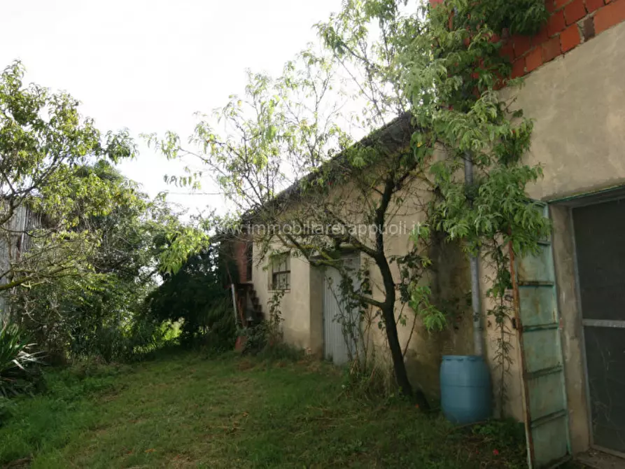 Immagine 15 di Casa indipendente in vendita  a Lucignano
