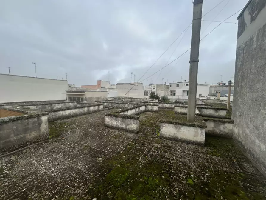 Immagine 49 di Villa in vendita  in Via Milano 12a a Novoli