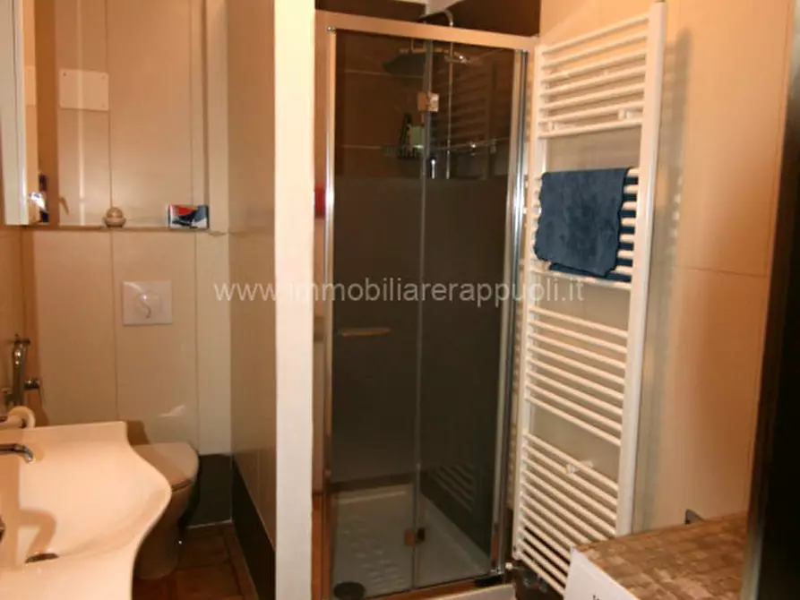 Immagine 8 di Appartamento in vendita  a Torrita Di Siena