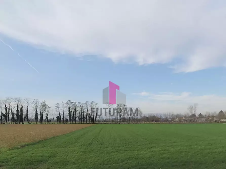 Immagine 6 di Terreno in vendita  in via praimboe a Limena