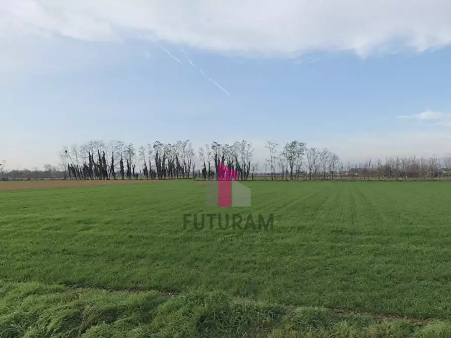 Immagine 7 di Terreno in vendita  in via praimboe a Limena