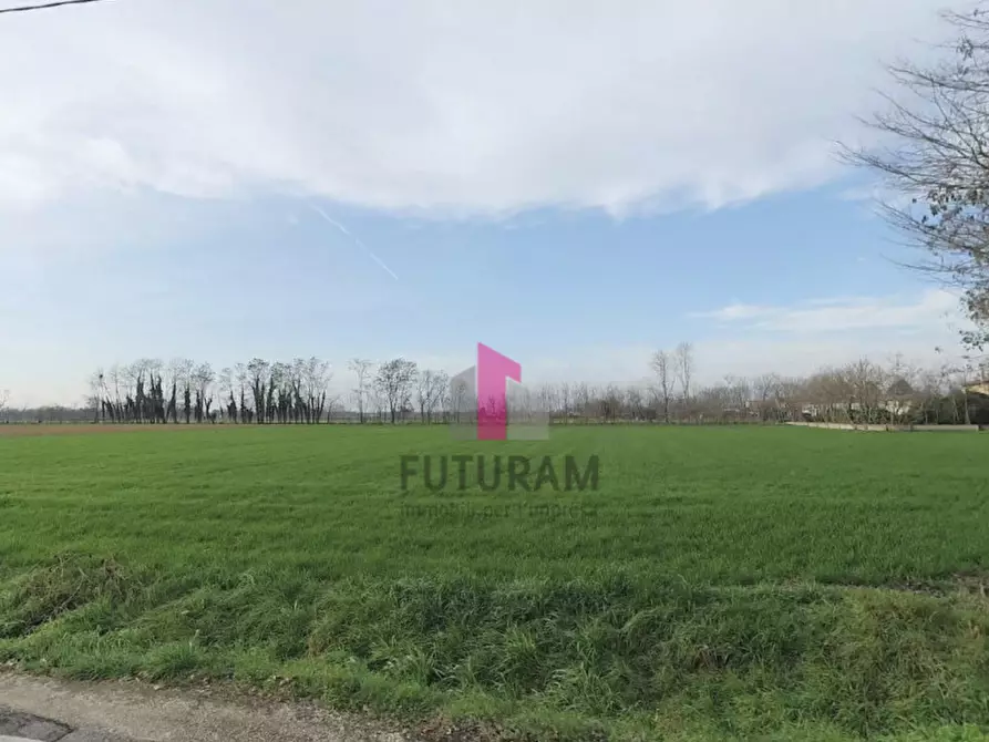 Immagine 11 di Terreno in vendita  in via praimboe a Limena