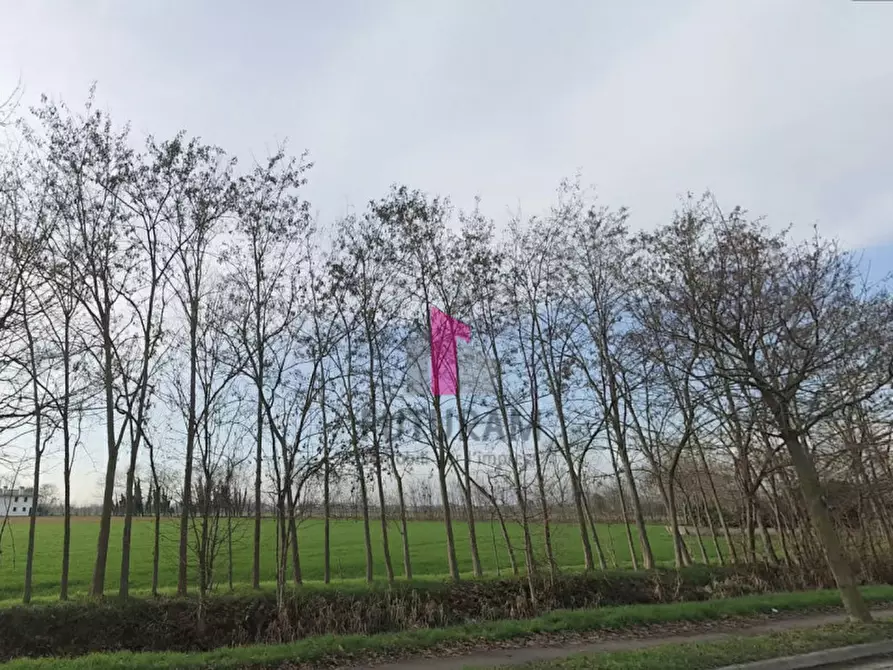 Immagine 12 di Terreno in vendita  in via praimboe a Limena