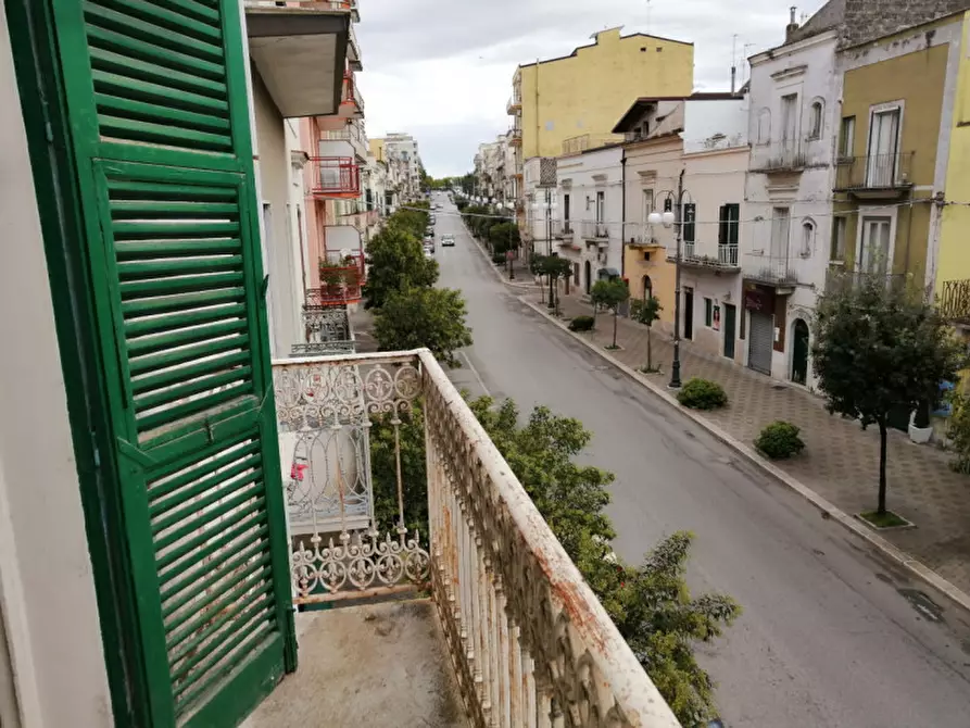 Immagine 10 di Casa indipendente in vendita  in VIA UMBERTO I°, 116 a Spinazzola