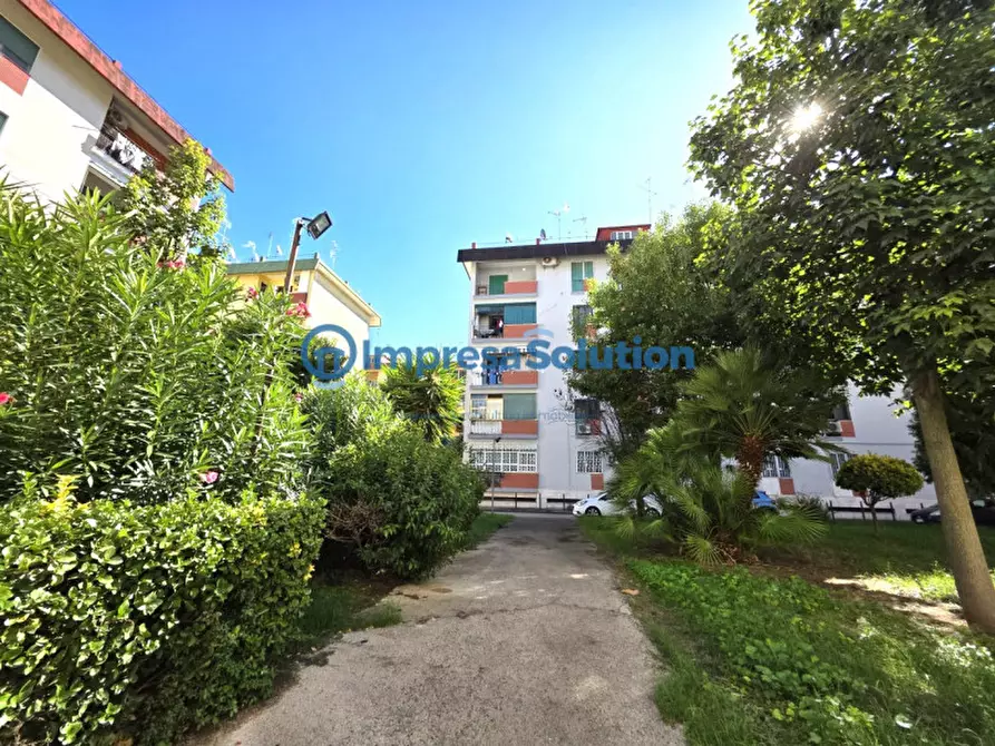 Immagine 3 di Camera in affitto  in Via Enrico Arlotta a Napoli