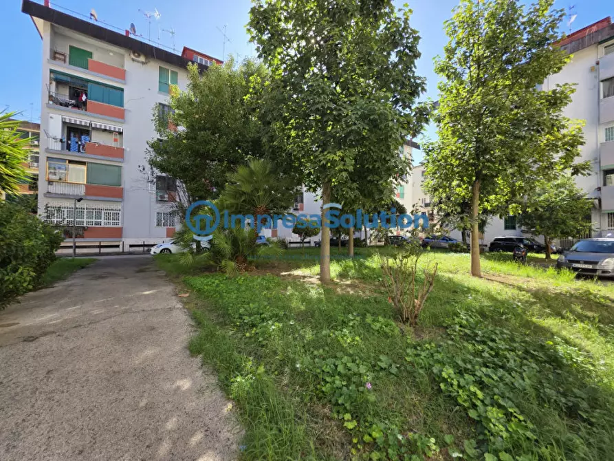 Immagine 5 di Camera in affitto  in Via Enrico Arlotta a Napoli