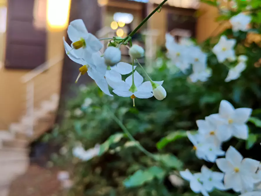 Immagine 24 di Appartamento in vendita  in via sant'apollonia a Bologna