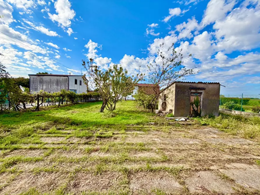 Immagine 3 di Casa indipendente in vendita  a Veronella