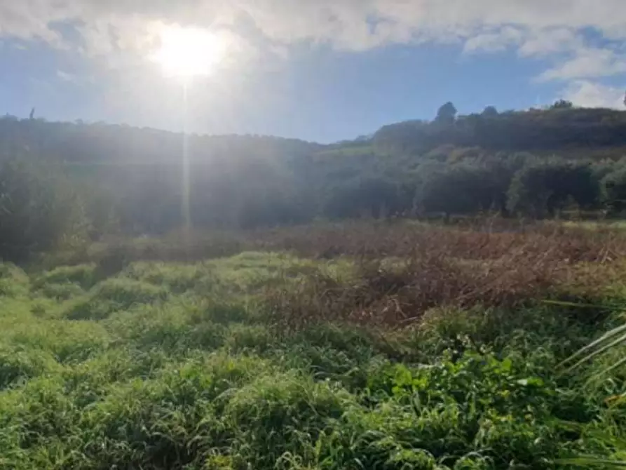 Immagine 5 di Terreno in vendita  in SP232, Vallelunga Pratameno CL, Italia a Vallelunga Pratameno