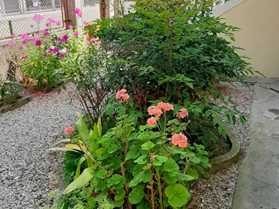 Immagine 11 di Casa indipendente in vendita  in Via Lepanto a Padova