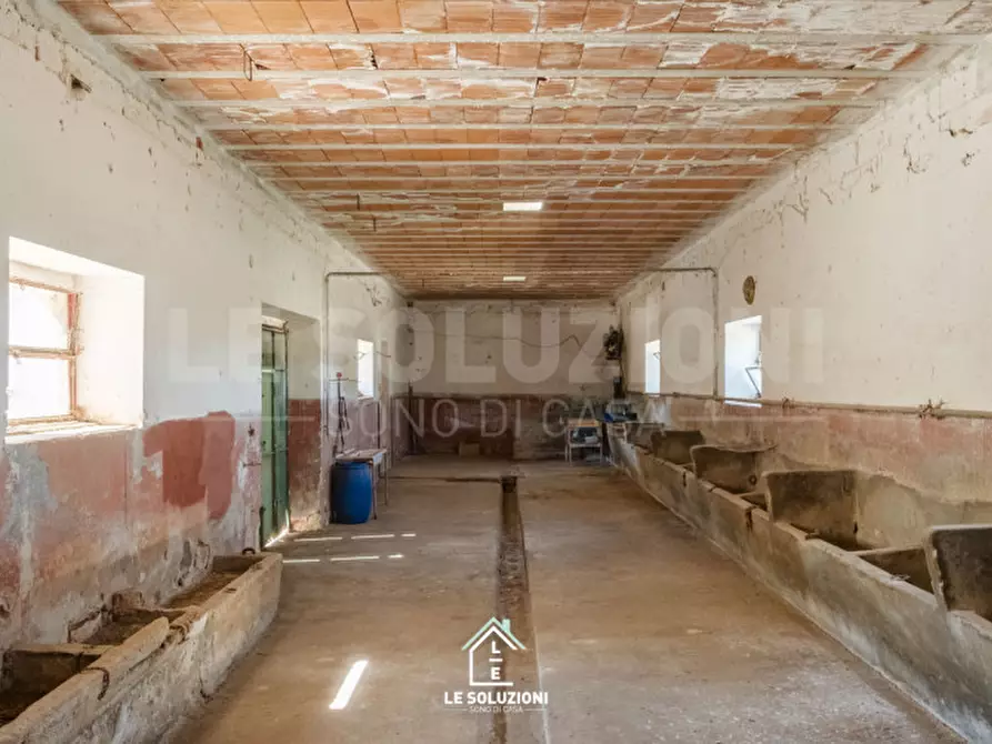 Immagine 35 di Villa in vendita  in CONTRADA CASABOLI a Noci