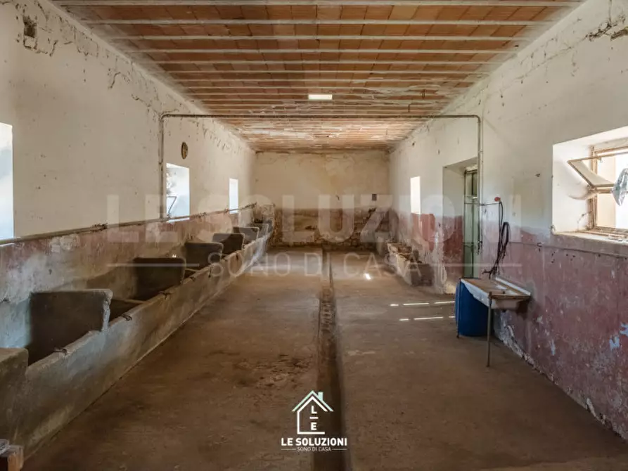 Immagine 36 di Villa in vendita  in CONTRADA CASABOLI a Noci