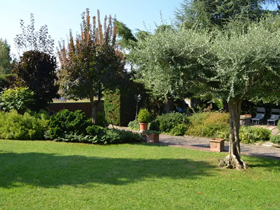 Immagine 34 di Villa in vendita  a Rovigo