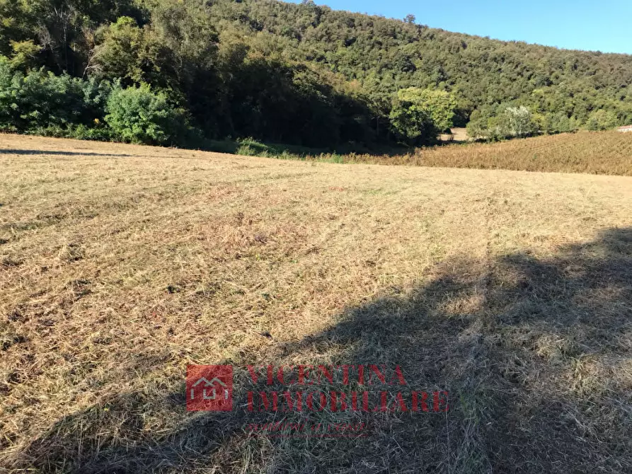 Immagine 3 di Rustico / casale in vendita  in Val Liona a Val Liona