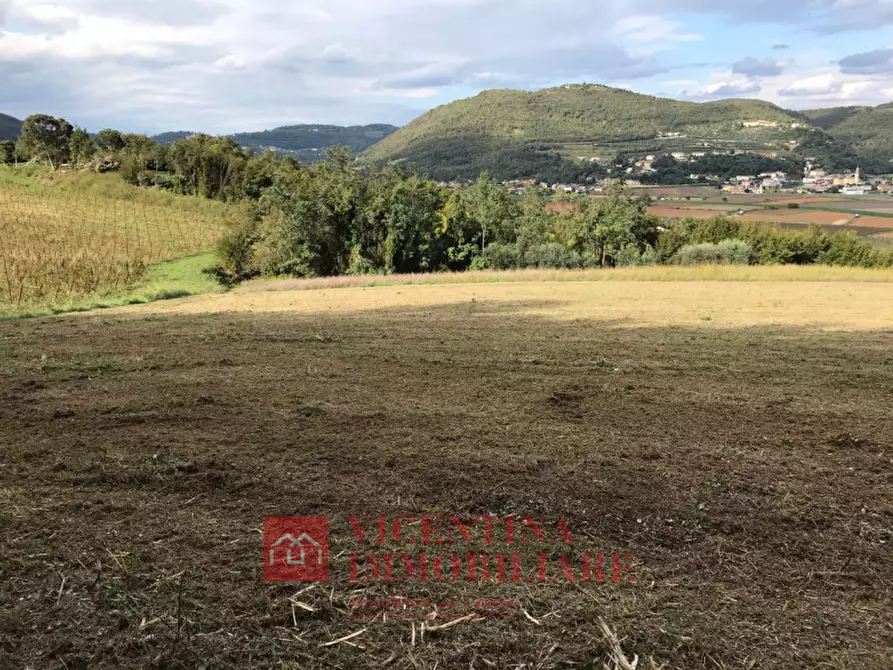 Immagine 4 di Rustico / casale in vendita  in Val Liona a Val Liona
