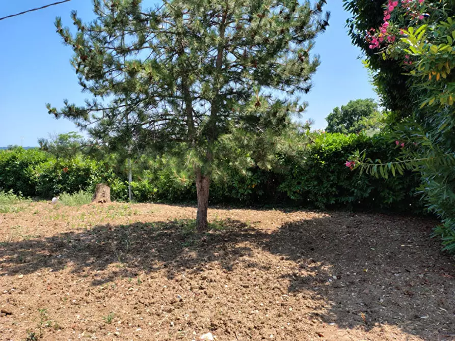 Immagine 9 di Casa indipendente in affitto  in Via Fonte delle Cave a Fossacesia