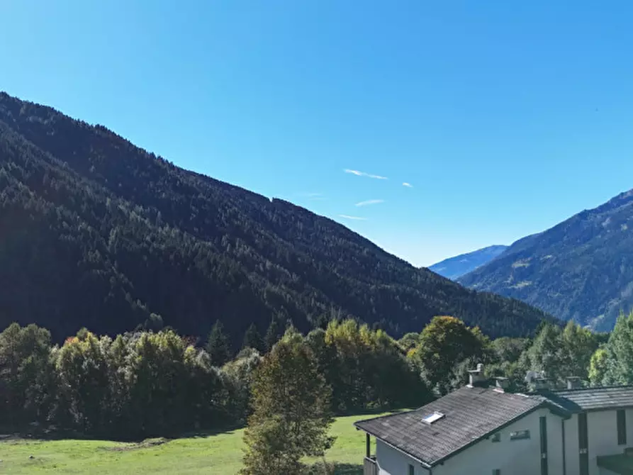 Immagine 7 di Terreno in vendita  in Via Val Brenta a Pinzolo